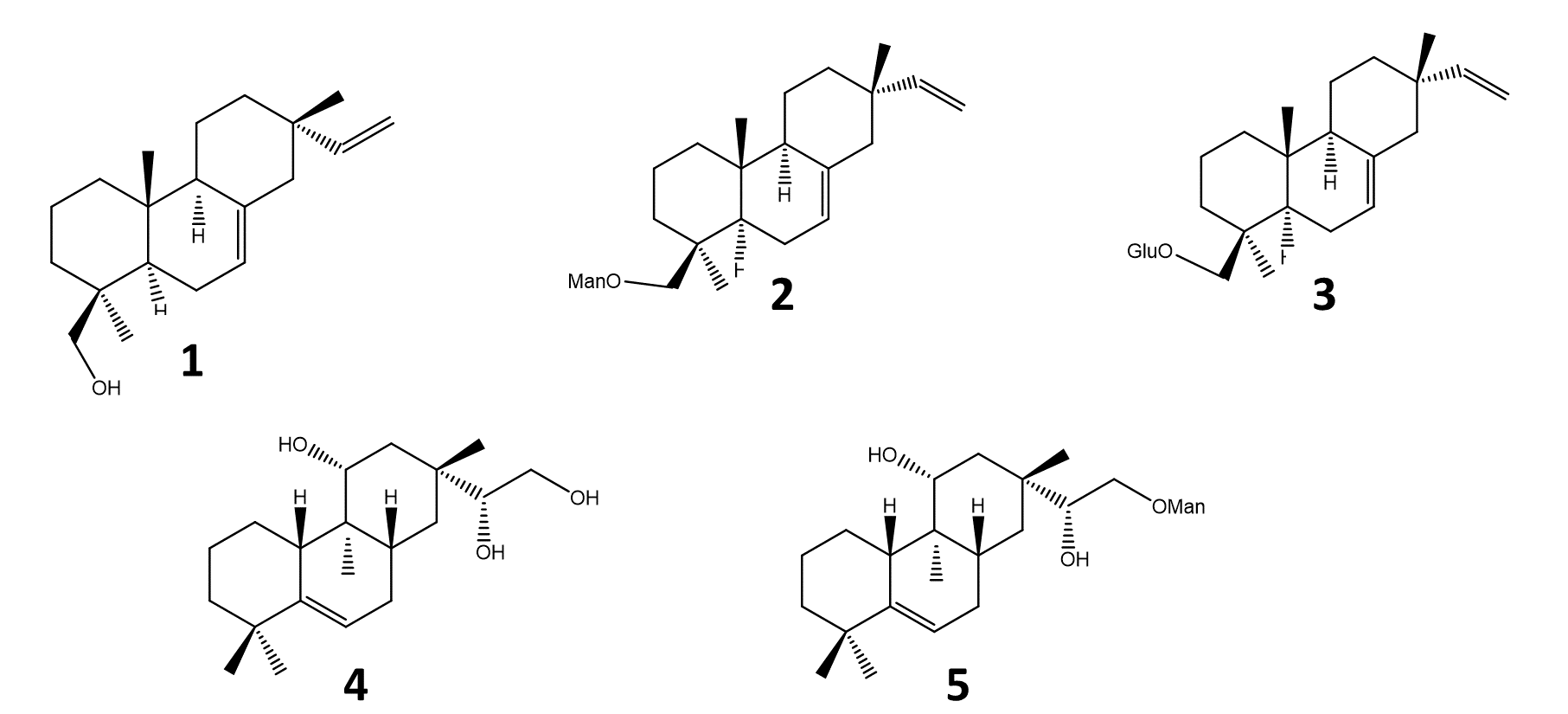 Figure 2 - Pimaranes diterpenes isolated